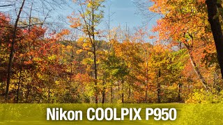 Nikon COOLPIX P950 10262023 [upl. by Lange57]