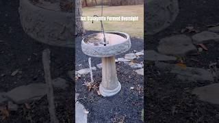 Ice Stalagmite Forms at the Birdbath birdbath backyard ice stalagmites [upl. by Pfosi]