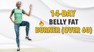 14DAY BELLY FAT BURNING WORKOUT FOR SENIORS OVER 60  ATHOME EXERCISES [upl. by Joelynn]