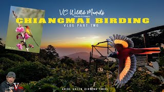 Chiangmai Biriding vLOG Part Two  Doi Angkhang Thailand [upl. by Leirad]