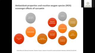 The power of Curcumin – introducing Longvida [upl. by Pamella185]