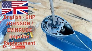 English  6HP JOHNSON  EVINRUDE IMPELLER REPLACEMENT [upl. by Kcid300]