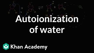 Autoionization of water  Water acids and bases  Biology  Khan Academy [upl. by Ez]