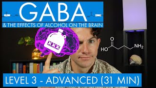 GABA  The Inhibitory Neurotransmitter  Alcohol in the Brain Level 3  Advanced [upl. by Assiled]