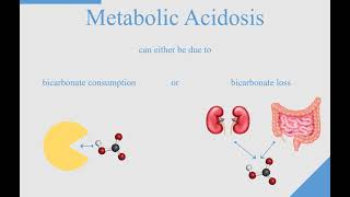 The physiopathology of pH variation in Metabolic Acidosis EN [upl. by Arateehc]