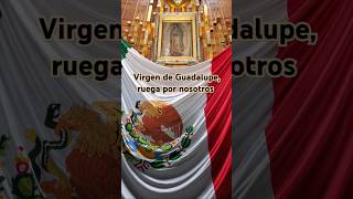 🙏 Virgen de Guadalupe [upl. by Nelly956]