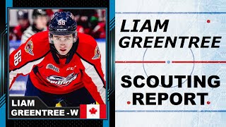 LIAM GREENTREE Highlights  2024 NHL Draft [upl. by Wall]