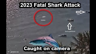 Fatal Shark Attack Caught on Camera Australian attacked in New Caledonia [upl. by Paik]