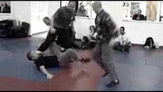 Scott Sonnon Softwork Fighting Martial Art [upl. by Nogas]