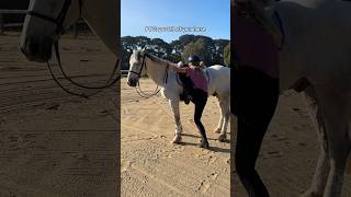 POV you fell off your horse horse horsegirls equestrianlife equestriangirl horsebackriding [upl. by Irvine]