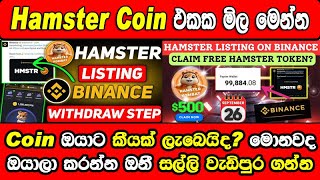 Hamster Coin Price Perdiction After Binance Launching News  Hamster Kombat Airdrop Important Update [upl. by Esoj]