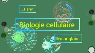 biologie cellulaire chapitre 02plasma membrane la membrane plasmique  anglais français 🧬🧪 part 1 [upl. by Eddie]