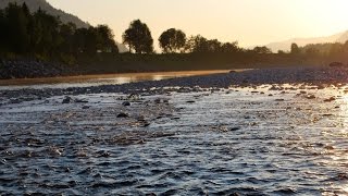 Salmonfishing  laksefiske  Horgøien Gaula  Norway  Salmonfishing Norway [upl. by Ynattir]