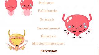 Examen clinique en néphrologie partie 01 [upl. by Rizzo]