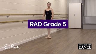 RAD Grade 5 Ballet [upl. by Adnohser]