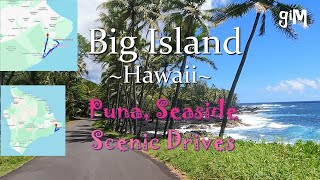 Puna Seaside  Hawaii Big Island Scenic DrivesHomes [upl. by Nelyk574]