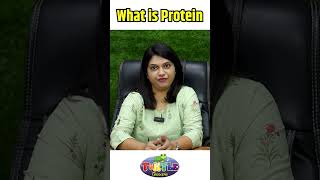 Highest Protein Foods  Foods Rich In Protein  Best Protein Rich Foods On The Planet [upl. by Nelyak1]