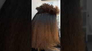 Shrinkage blowdryshorthair blowdryhair naturalhaircare shrinkage [upl. by Elkcim]