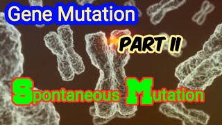 Spontaneous Mutation Depurination amp Deamination of DNA  Gene Mutation [upl. by Nyltiac894]