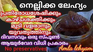 Nellikka lehyam recipe in malayalam home madeAyurvedic Amla lehyamആരോഗ്യത്തിനും സൗന്ദര്യത്തിനും [upl. by Franni]