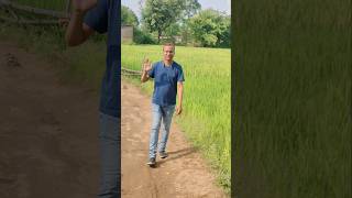 hero viralreels bollywood hindisong song music viralreels 2024shorts shortreels ytshorts [upl. by Davie]