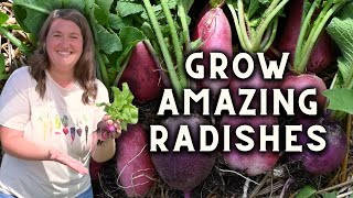 How to Grow Radishes Everything You Need to Know [upl. by Solana]