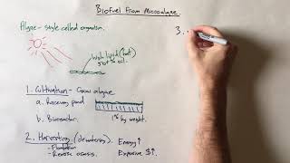 Biodiesel from microalgae [upl. by Vivian]