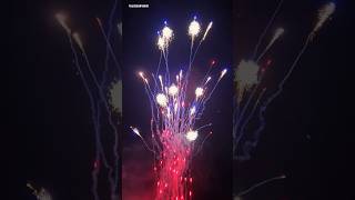 Red Howling Wolf Fireworks Cake merrytimefireworks fireworks2024 [upl. by Darees]