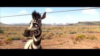 Khumba Movie Exclusive Clip The Springboks in HD [upl. by Anaugahs]