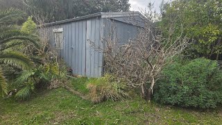 DISASTER of a backyard gets MASSIVE clean up  part 6  OVERGROWN garden beds EVERYWHERE [upl. by Minnnie]