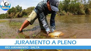 🔥¿LA MEJOR EPOCA PARA EL JURAMENTO🎣 Mucha actividad de dorados con señuelos  pesca rio juramento [upl. by Naasar]