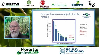 Manejo de Florestas naturais o único uso sustentável para áreas florestais  Florestas Online 2024 [upl. by Smeaj]