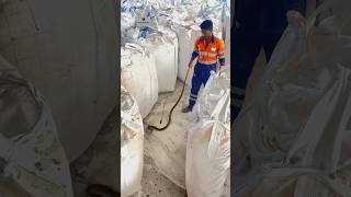 Zinc smelter Dariba salehouse rescued Rat snake  viralshort snakevideo dariba hzl hzldariba [upl. by Kahle508]