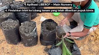 Aplikasi LIBERO® di Kelapa Sawit – Main Nursery [upl. by Hillel]