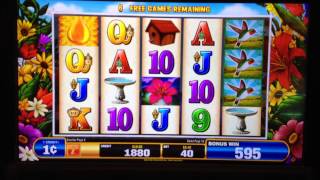 Hummingbird Honey slot machine Bonus Games 85 free spins [upl. by Winne767]