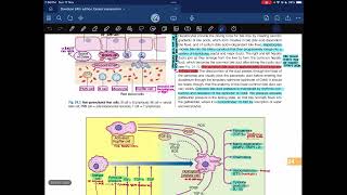 Hepatologylecture04Davidson 24th edition [upl. by Yalahs]