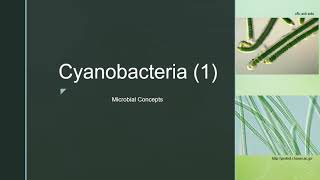 Cyanobacteria 1  Blue Green Algae Cell structure  Examples  Reproduction [upl. by Jamin]