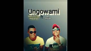 Mthizo Tee MaJelas ft Smoties UNGOWAMI [upl. by Hamford439]