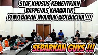 SEBARKAN GUYS  WAJIB VIRAL  STAF KHUSUS BAPPENAS KHAWATIR TENTANG PENYEBARAN NYAMUK WOLBACHIA [upl. by Naruq]