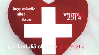 Hopp Schwiiz Allez Forza  Schweizer WMSong Eigenproduktion [upl. by Veradis]