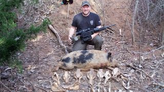 2015 Spotted Hog Thermal Hunt 170 Yards  Capre Sus [upl. by Relyc395]