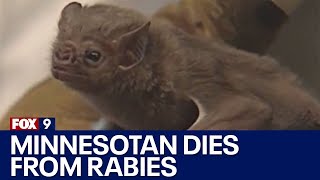 Minnesotan dies after rabies exposure from infected bat [upl. by Niltag]