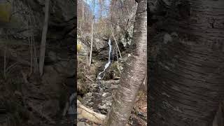 Hiking Doyles River Falls Trailhead  Shenandoah national park [upl. by Relda472]