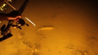 Bowfishing Swamp Style [upl. by Bone]