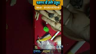 ছেলে বা মেয়ে আপনার অপছন্দে বিয়ে করতে চাই  Apnar Chele Meye Apnar Opochonde Biye korte Chai [upl. by Waldos]