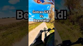 EXTREME TEST Scooter Vs Bean Field 🛴💨 [upl. by Dame]