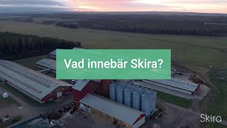 20s  Vad innebär Skira [upl. by Darrick]