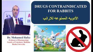 DRUGS CONTRAINDICATED FOR RABBITS الأدويه الممنوعه للارانب [upl. by Ong]