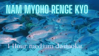 60minute Daimoku  medium speed Nam Myoho Renge Kyo [upl. by Libove]