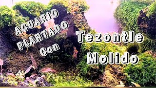 acuario plantado fácil con tezontle molido [upl. by Guevara]